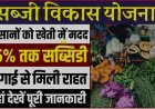 Bihar Sabji Vikas Yojana 2025 | किसानो के लिए बेहतरीन योजना मिलेगा 75% अनुदान, ऑनलाइन आवेदन शुरू