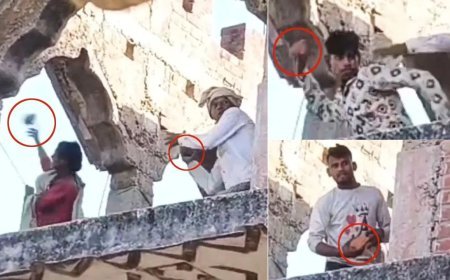 Bihar News: दरभंगा में कलश यात्रा पर हमला!  छत से बरसाए गए पत्थर, मची भगदड़