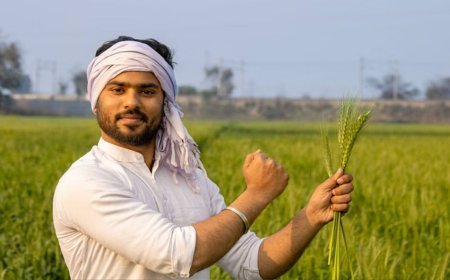 PM Kisan Yojana: जून में आएगी पीएम किसान की अगली किस्त, क्या आपका नाम है लिस्ट में