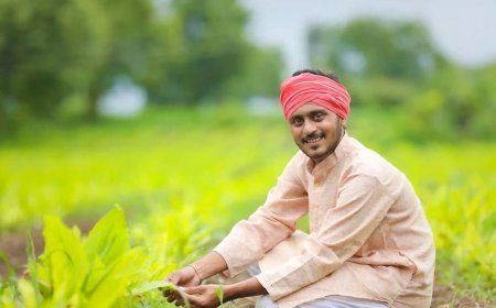 Rajasthan Kisan Yojana: राजस्थान सरकार का किसानों के लिए बड़ा कदम, बैल से खेती पर मिलेगा 30 हजार रुपये का इनाम