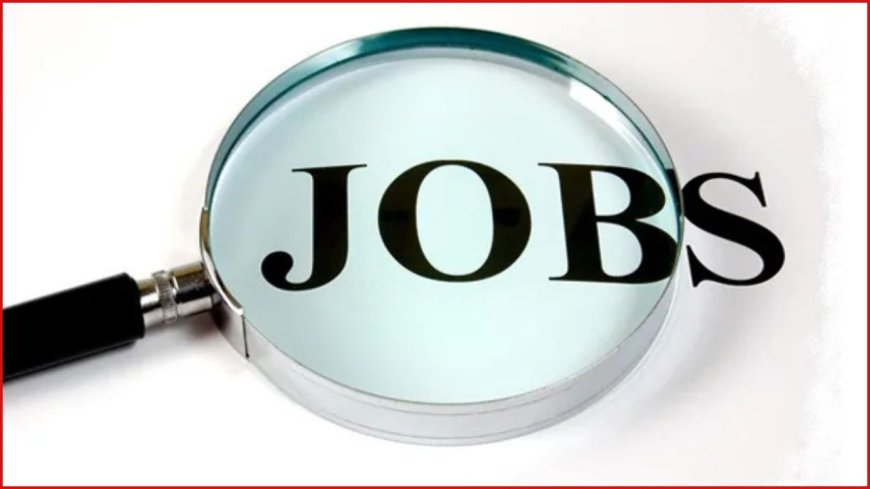 Gujarat High Court Recruitment: हाईकोर्ट में नौकरी का सुनहरा मौका! ड्राइवर पद पर निकली भर्ती, सीमित समय में करें आवेदन