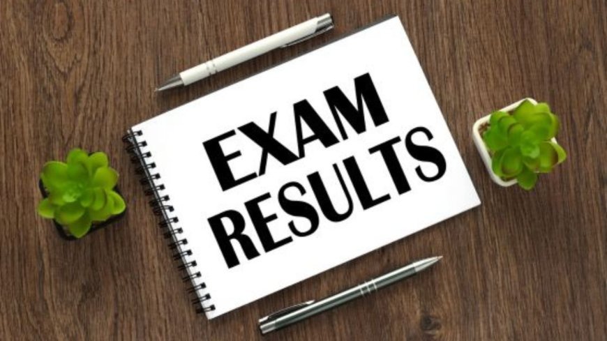 RBSE 5th Result लिंक होगा एक्टिव, क्या आपका मार्कशीट में बनेगा नया रिकॉर्ड?