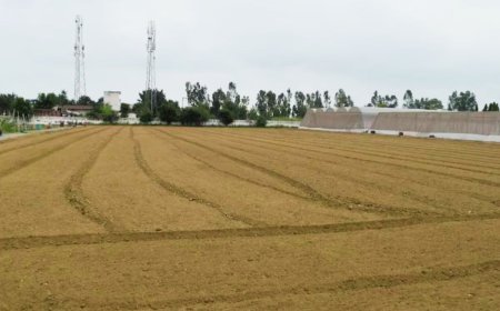 बिहार : जमीन मुआवजे से जुड़ी समस्याएं तुरंत होगी खत्म, अब हफ्ते में दो दिन होगा यह काम