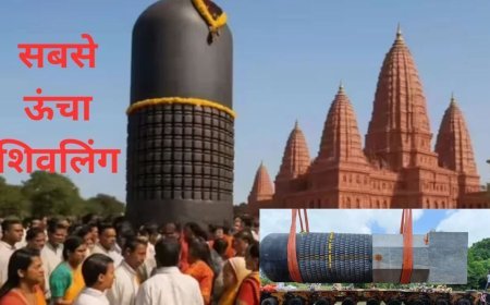 बिहार ने रचा इतिहास, दुनिया का सबसे बड़ा शिवलिंग स्थापित हुआ