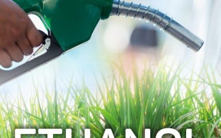 बिहार की इथेनॉल इंडस्ट्री बर्बादी के कगार पर, रोजगार का संकट गहराया