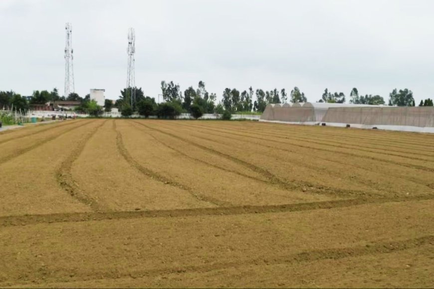 बिहार : जमीन मुआवजे से जुड़ी समस्याएं तुरंत होगी खत्म, अब हफ्ते में दो दिन होगा यह काम