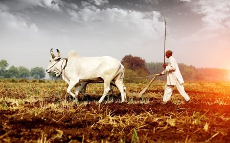 किसानों के लिए तोहफा लेकर आया बिहार बजट, अब हर साल 6000 की जगह मिलेंगे 9000 रुपये