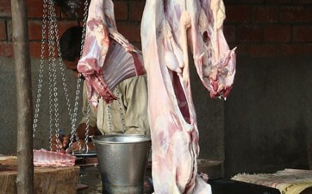 बिहार में भी लागू हुआ योगी मॉडल, अब खुले में मांस की बिक्री पर रोक, 5000 तक जुर्माना ! ....