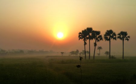 बिहार मौसम: फरवरी में ही गर्मी की दस्तक, अप्रैल मई में क्या होगा !