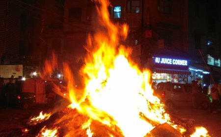 होलिका दहन में इन लकड़ियों को कभी भूलकर भी नहीं जलाना चाहिए...