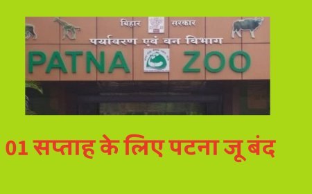 बिहार में बर्ड फ्लू का कहर, चिड़ियाघर और पार्क एक सप्ताह के लिए बंद