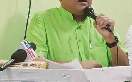 राज्यसभा सांसद भीम सिंह ने संसद में उठाया कुम्हार, लोहार, बढ़ई समाज का मुद्दा, राष्ट्रीय बोर्ड गठित करने की मांग