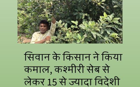 सिवान के किसान ने किया कमाल, कश्मीरी सेब से लेकर 15 से ज्यादा विदेशी फलों का उत्पादन बिहार की मिट्टी में...