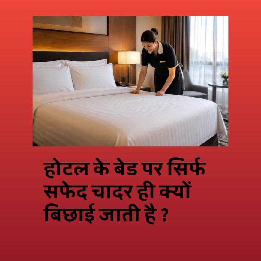 होटल के बेड पर सिर्फ सफेद चादर ही क्यों बिछाई जाती है ?