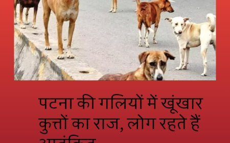 सुप्रीम कोर्ट के आदेश की कोई परवाह नहीं, पटना की गलियों में खूंखार कुत्तों का राज, लोग रहते हैं आतंकित