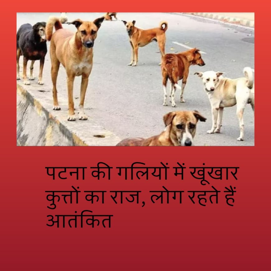 सुप्रीम कोर्ट के आदेश की कोई परवाह नहीं, पटना की गलियों में खूंखार कुत्तों का राज, लोग रहते हैं आतंकित
